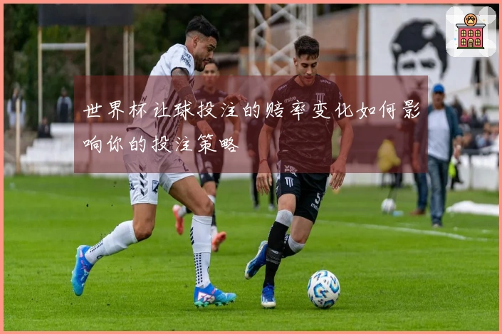 世界杯让球投注的赔率变化如何影响你的投注策略