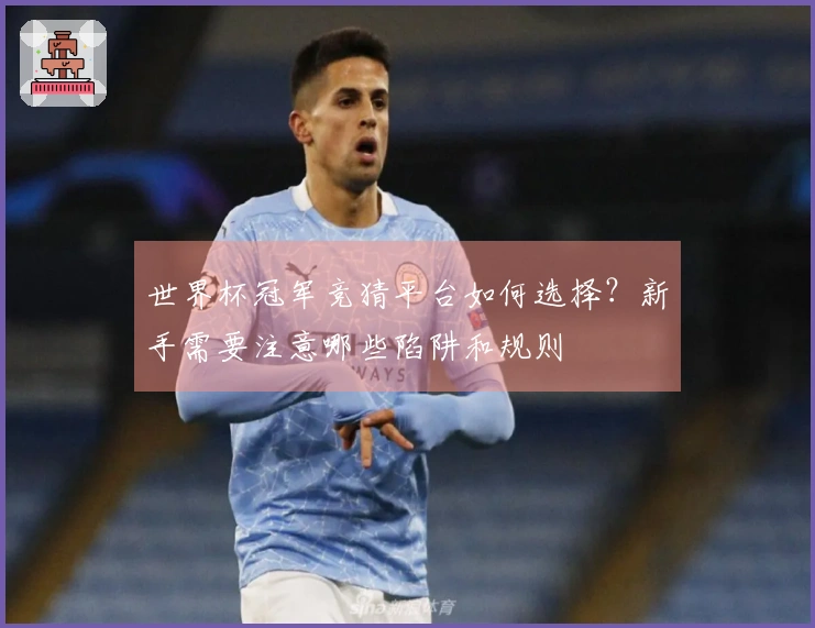 世界杯冠军竞猜平台如何选择？新手需要注意哪些陷阱和规则