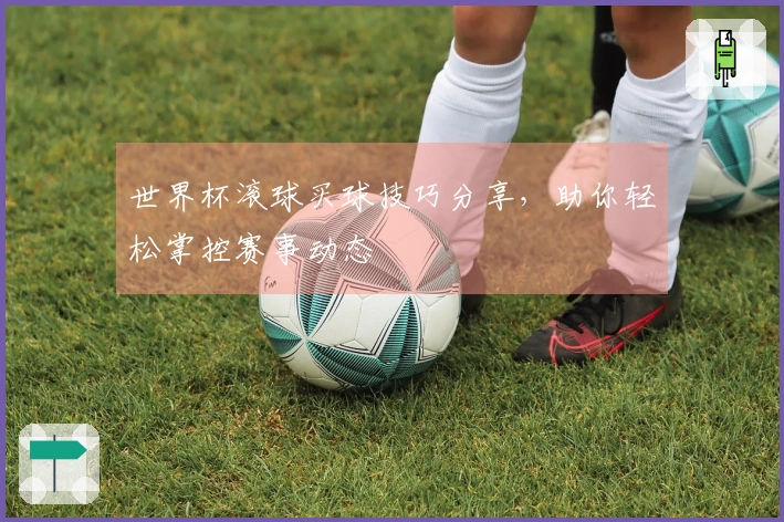 世界杯滚球买球技巧分享，助你轻松掌控赛事动态