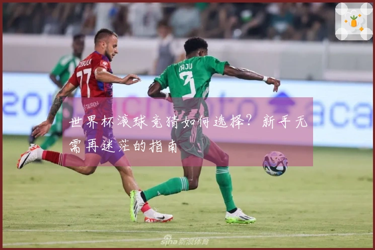 世界杯滚球竞猜如何选择？新手无需再迷茫的指南