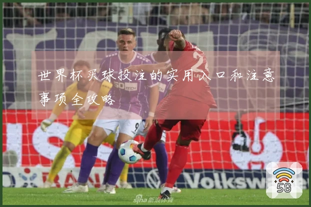 世界杯买球投注的实用入口和注意事项全攻略