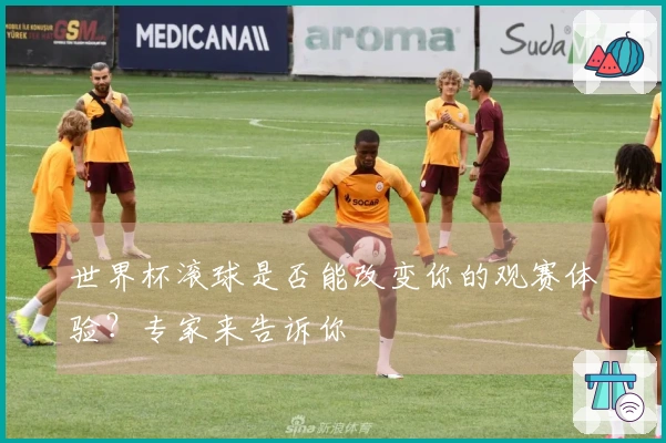 世界杯滚球是否能改变你的观赛体验？专家来告诉你