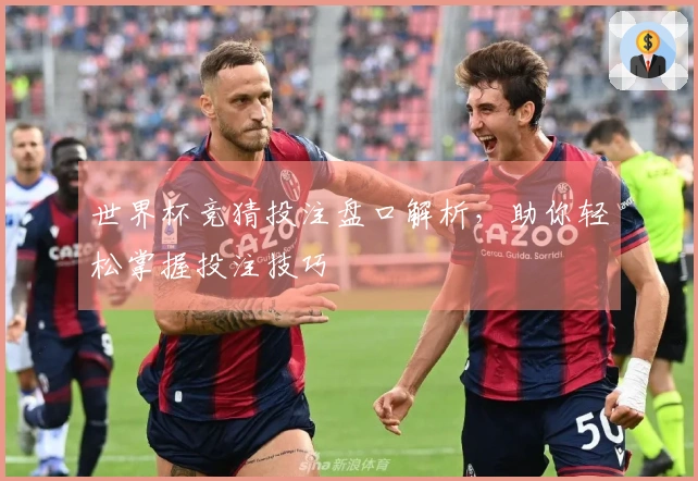 世界杯竞猜投注盘口解析，助你轻松掌握投注技巧