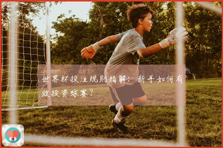 世界杯投注规则精解：新手如何有效投资球赛？