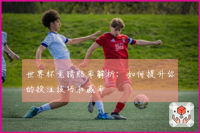 世界杯竞猜赔率解析：如何提升你的投注技巧和赢率