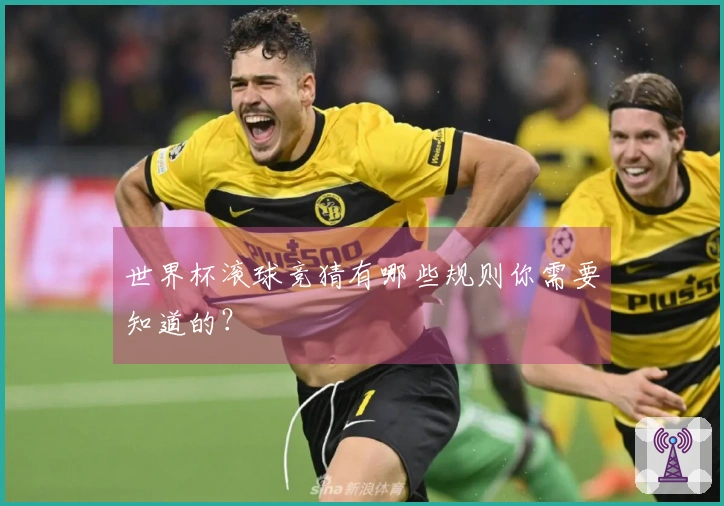 世界杯滚球竞猜有哪些规则你需要知道的？