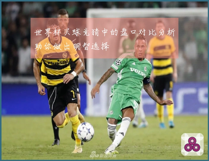 世界杯买球竞猜中的盘口对比分析助你做出明智选择