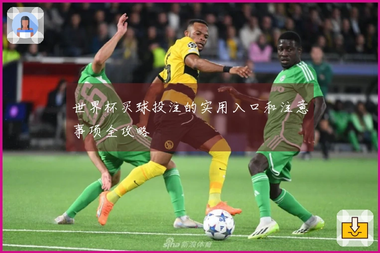 世界杯买球投注的实用入口和注意事项全攻略