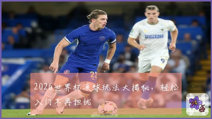 2026世界杯滚球玩法大揭秘，轻松入门不再担忧