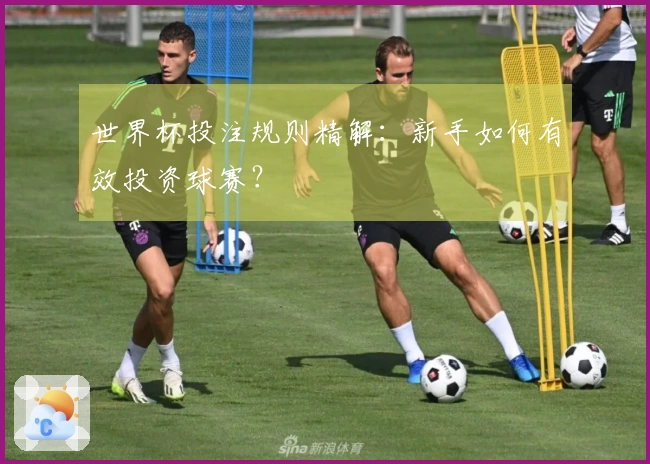 世界杯投注规则精解：新手如何有效投资球赛？