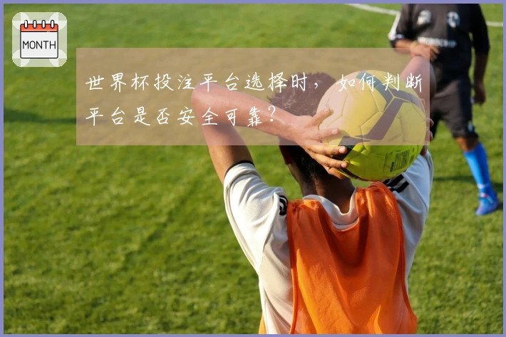 世界杯投注平台选择时，如何判断平台是否安全可靠？